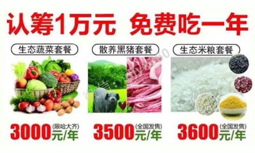 农产品免费模式：认筹1万免费吃一年菜，1年后再无息退还10000元
