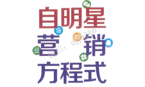 自明星营销方程式PDF电子书，自明星时代如何打造你的超级IP