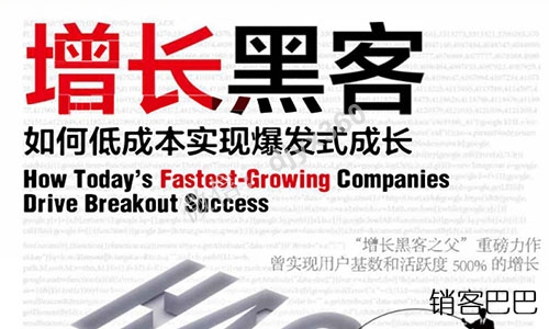 增长黑客 pdf 完整版肖恩著，让你的企业实现用户基数和活跃度500%的增长
